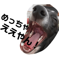 Misaki Misa matsu 20230420