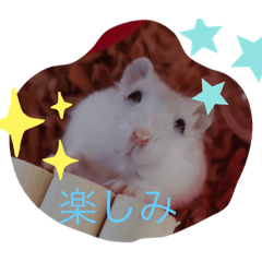 HaNa_20230421092319