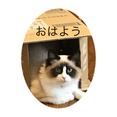 nao_20230420152102