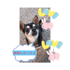 Smile_20230420160558