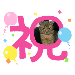 arisa_20230420184709