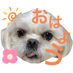 no_20230420190030
