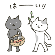 Life of cats (black and white)