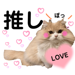 munchkin   cat   stamp