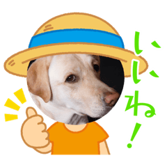 Yukari_20230421094428