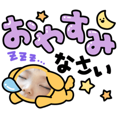 nao_20230420235601