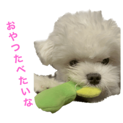 omochi_20230420213206