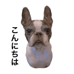 hikari_20230420221559