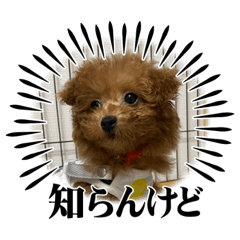 RYU87_20230421101841