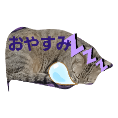 arisa_20230421124850