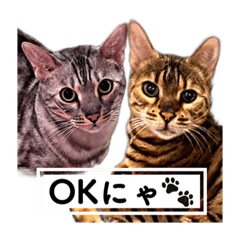 saori_20230420180957