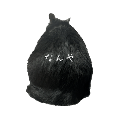 pinokikaku_20230420182832
