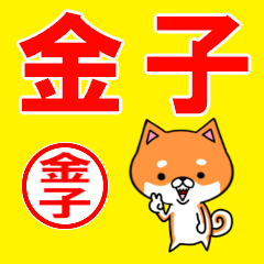 ★金子(かねこ・カネコ)な柴犬のシバッキー
