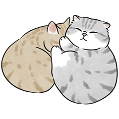 oba cat7 - sliver tabby sticker