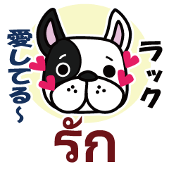 French Bulldog Thai & Japanese