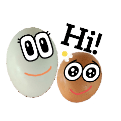 Egg &egg