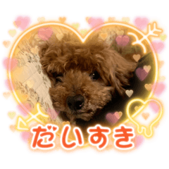 arisa_20230421152155