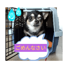 Smile_20230421165206