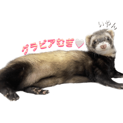 suzu_20230422094349