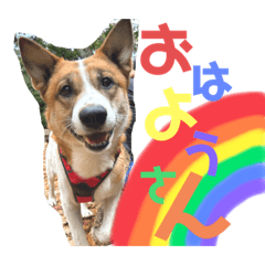 yuka_20230421184940
