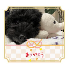 SAYURI_20230421203553