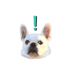 bb_20230421171644