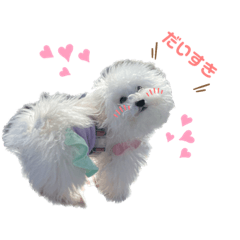 yuka_20230421172359