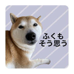 fuku stamp by natsumi