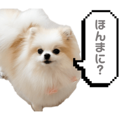 uru_sticker – LINE stickers | LINE STORE