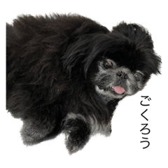 ikansoku_20230422025130