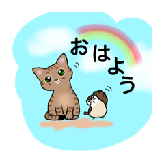 キジトラ猫とスズメ〜ココアとチュンゾウI