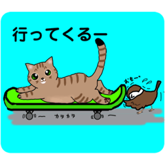 キジトラ猫とスズメ〜ココアとチュンゾウ