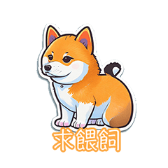 Shibainu01