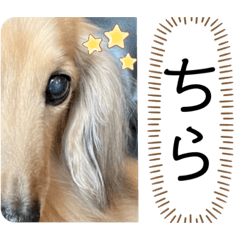hikotaro_20230422115015