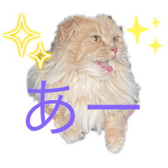 maronsan_20230421233717