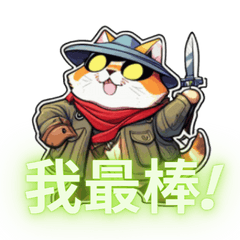 The-cute-cat