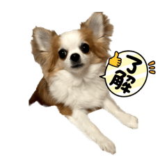 aremarumama_20230422102534