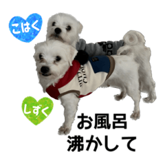 arisa_20230421225515