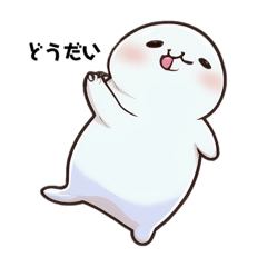 baby seal1