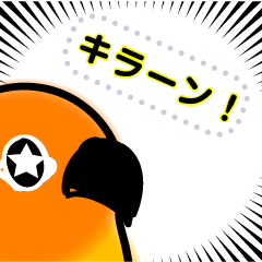 Cute  orange bird's face message sticker