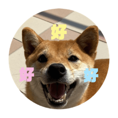 五同學
