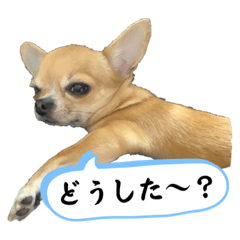 ichirou_20230423092054