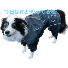 yukasa_20230422200333