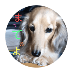 hikotaro_20230422181003