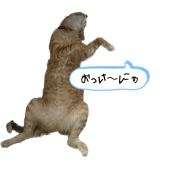 Nyaaanz 2