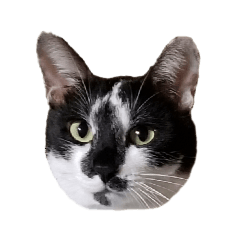cat_hachiware