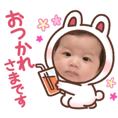 shimon.