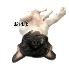hana_20230422214801
