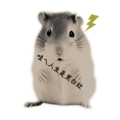 Crazy Mao_20230422162420 – LINE stickers | LINE STORE