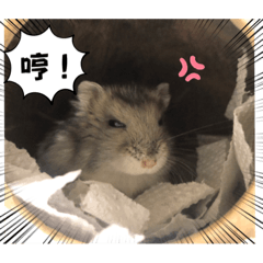 Tsum little hamster Part 3